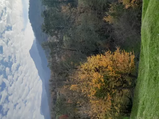 Amir_232